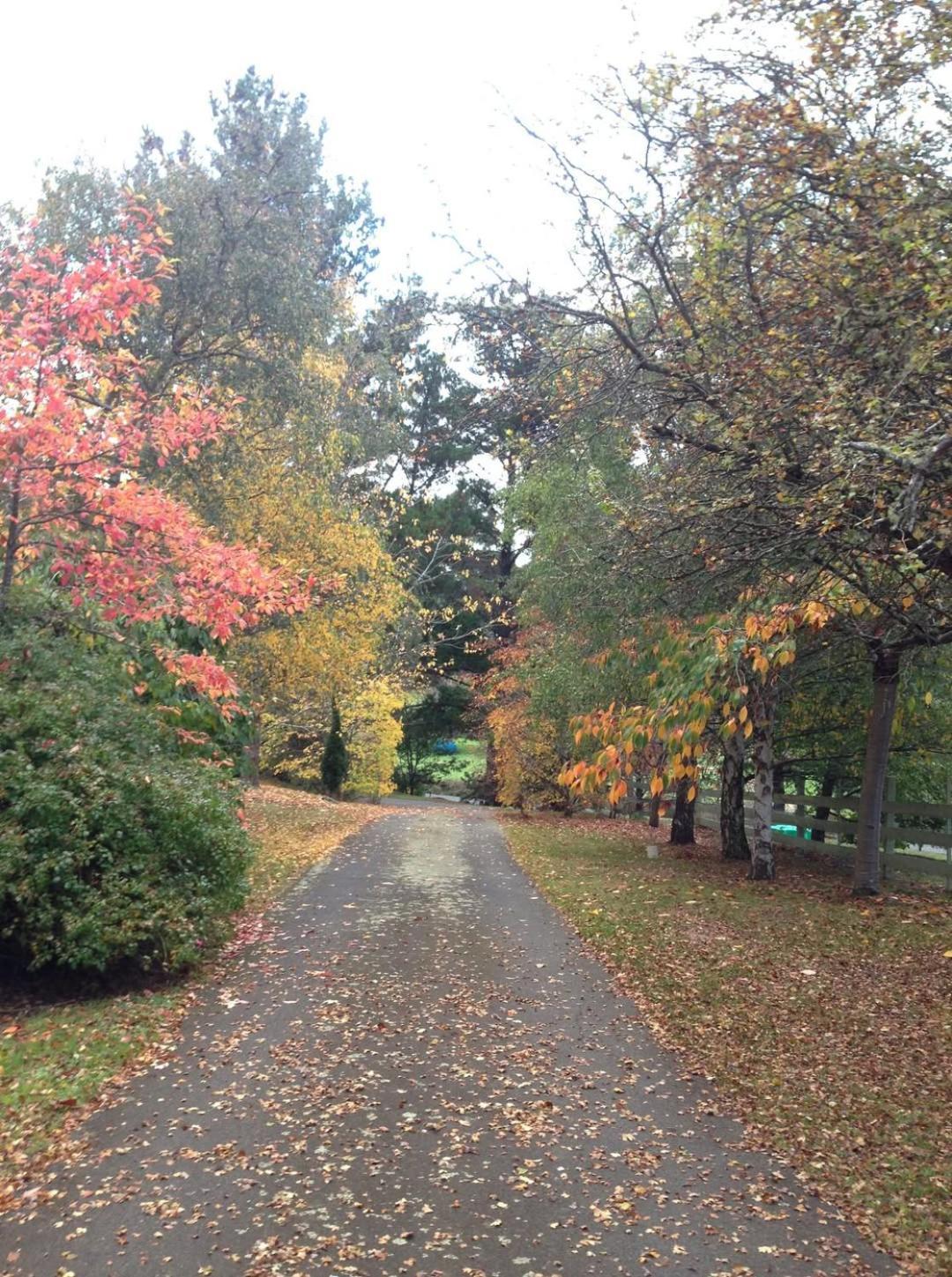 Crabtree House Bed & Breakfast Grove Bagian luar foto