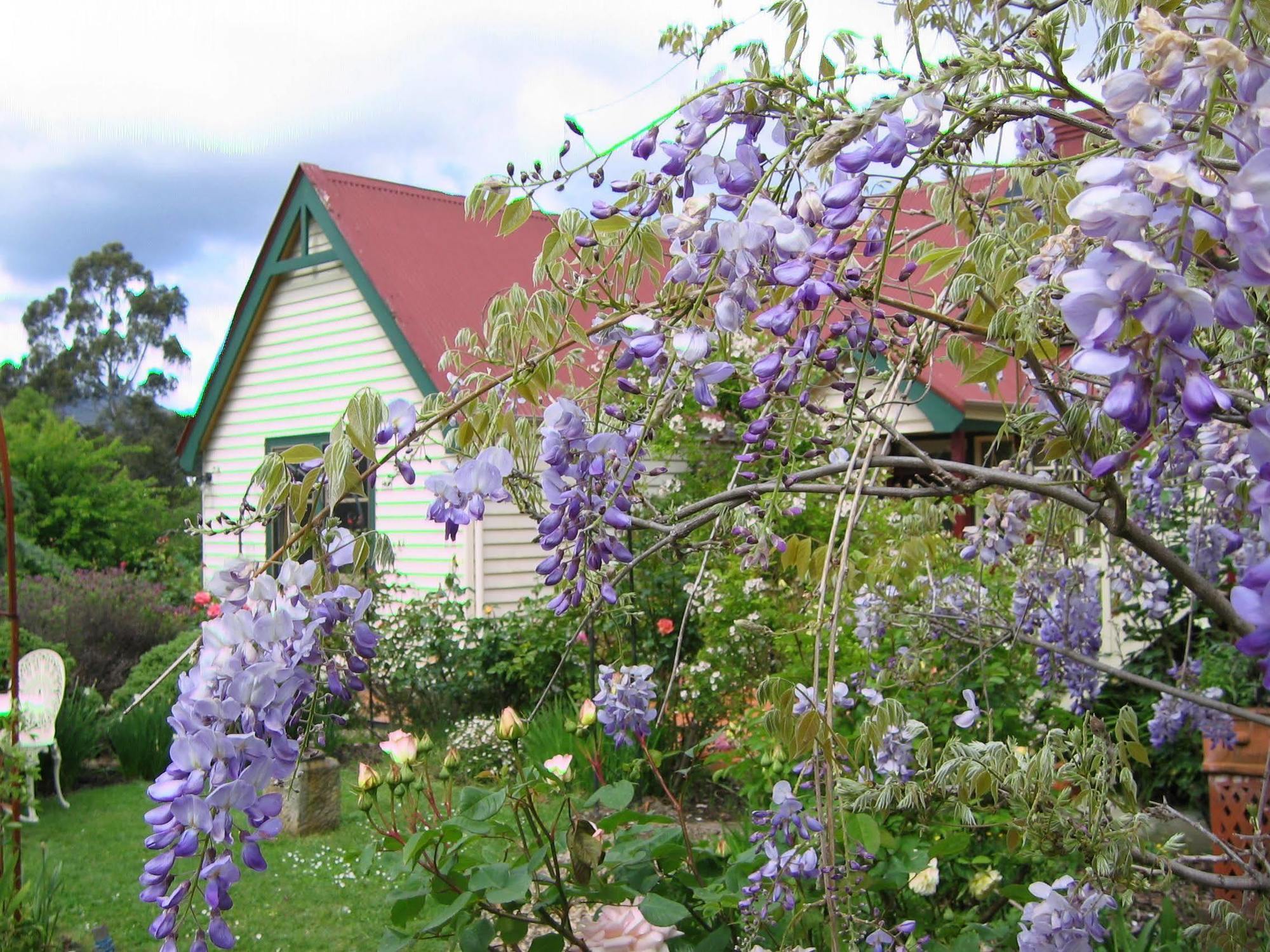 Crabtree House Bed & Breakfast Grove Bagian luar foto