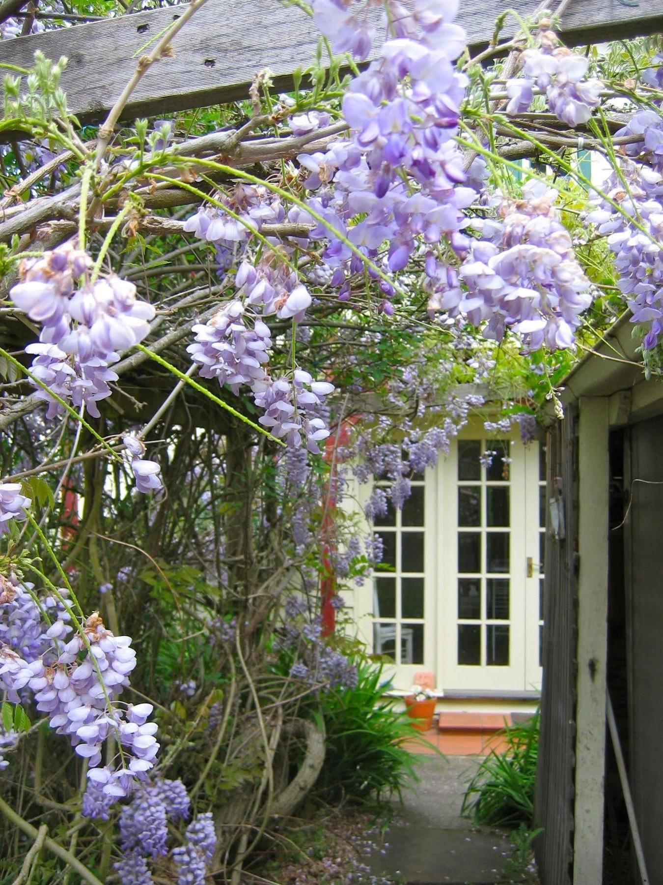 Crabtree House Bed & Breakfast Grove Bagian luar foto