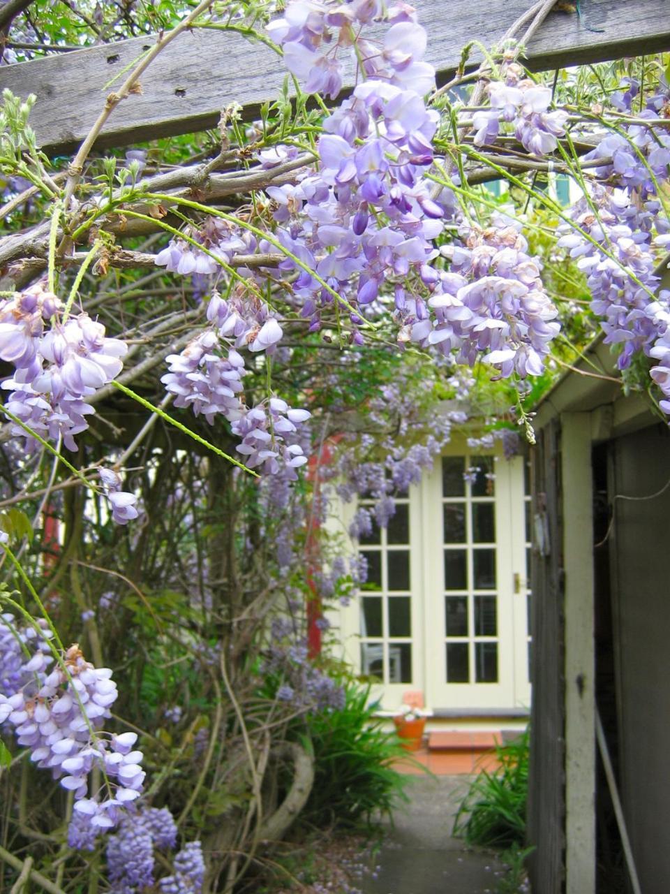 Crabtree House Bed & Breakfast Grove Bagian luar foto